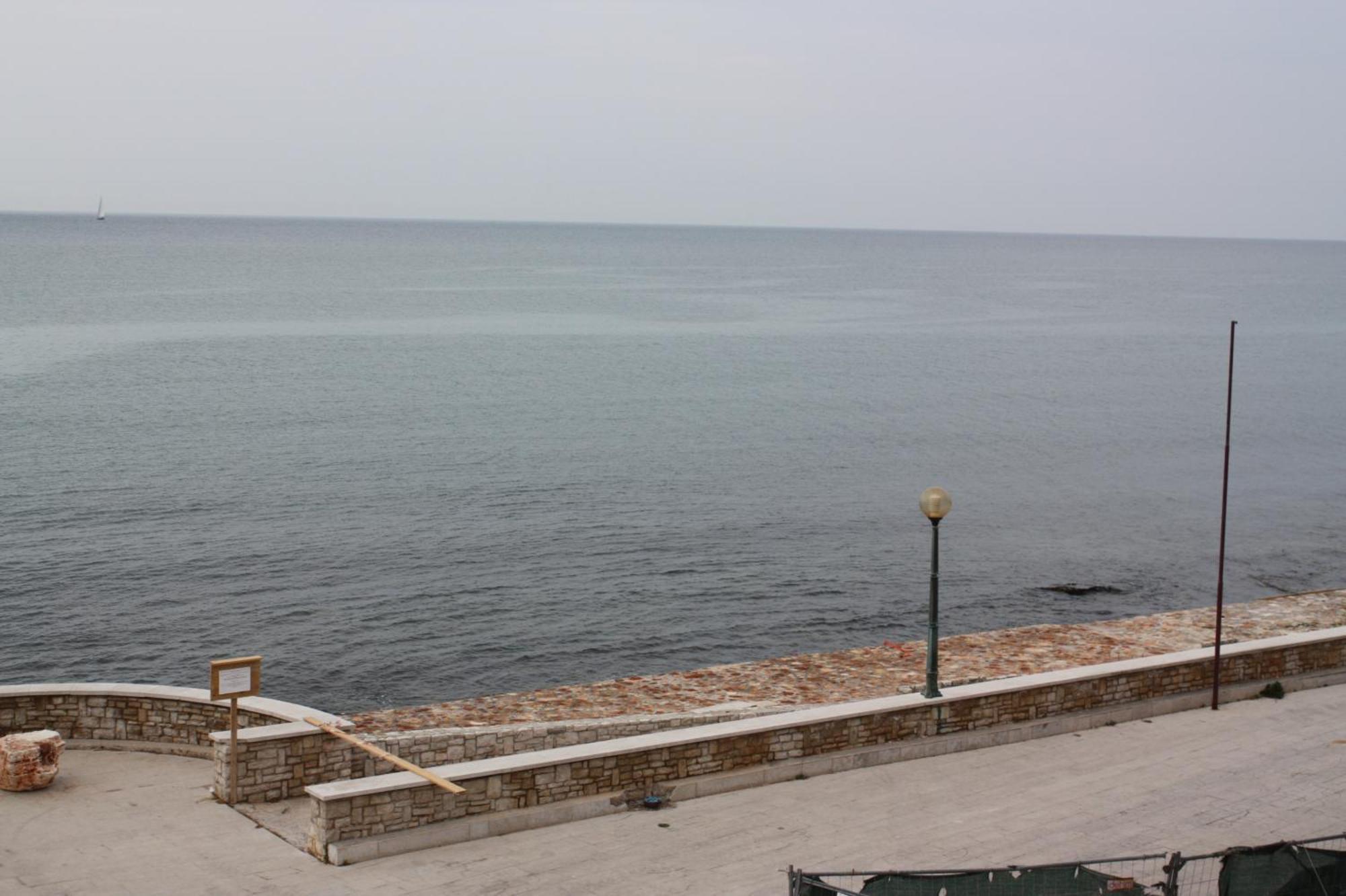 Apartments Tomato Novigrad Istria Dış mekan fotoğraf